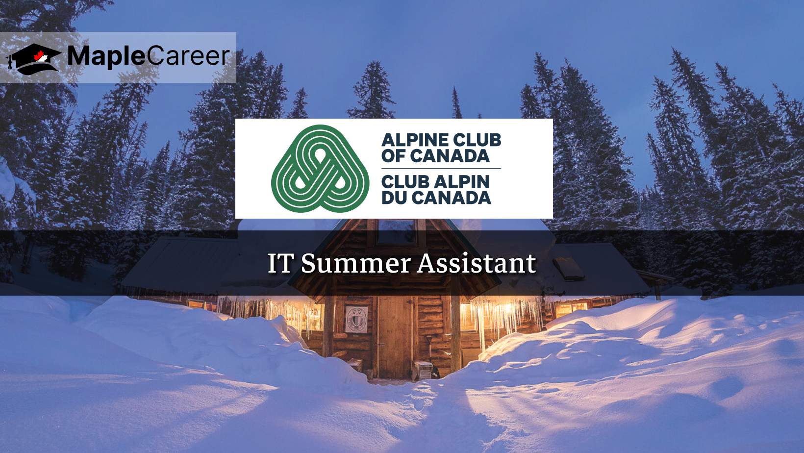 ACC is hiring IT Summer Assistant (1)