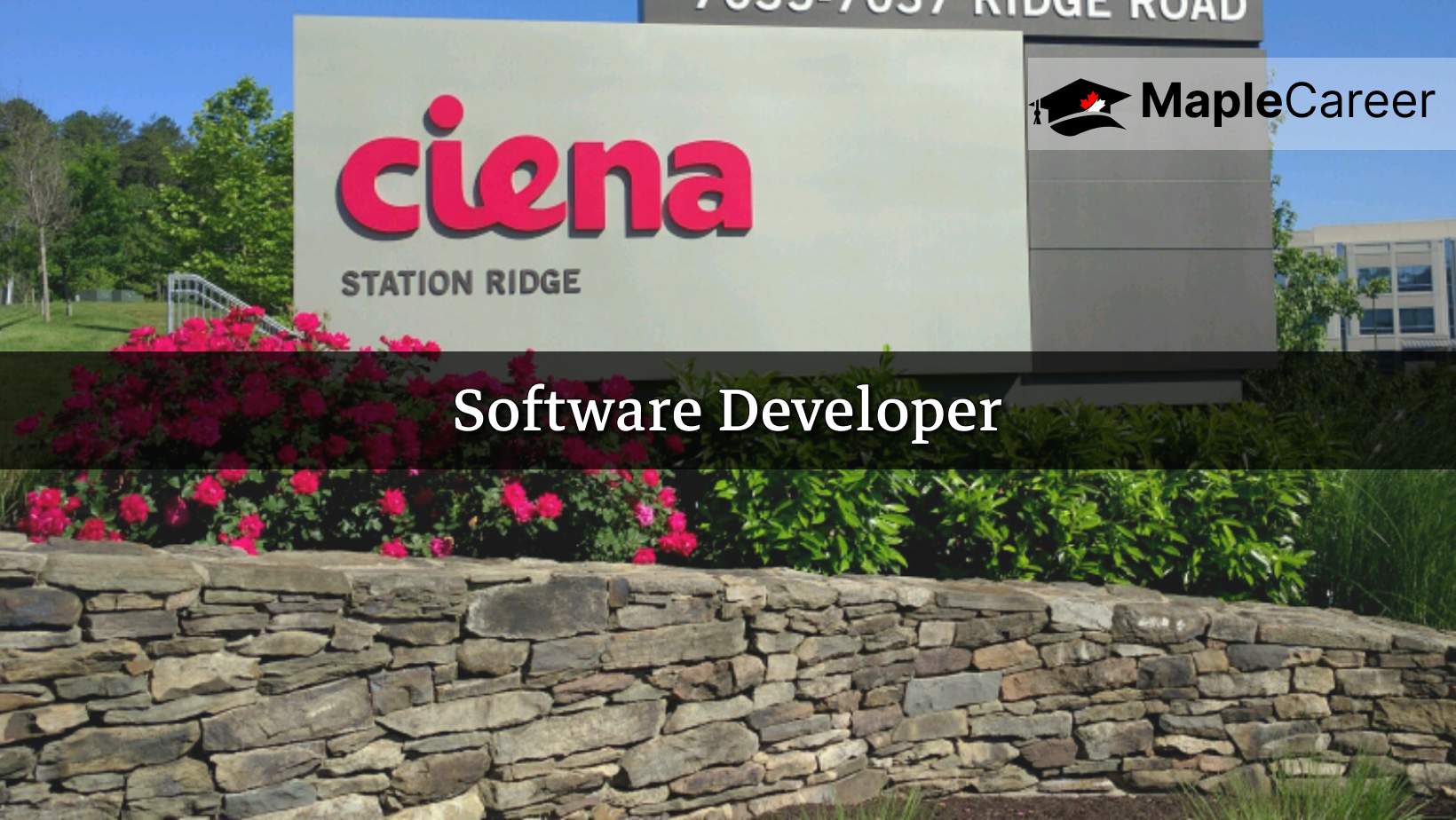Ciena is hiring Software Developer